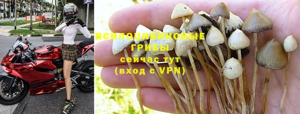каннабис Белокуриха
