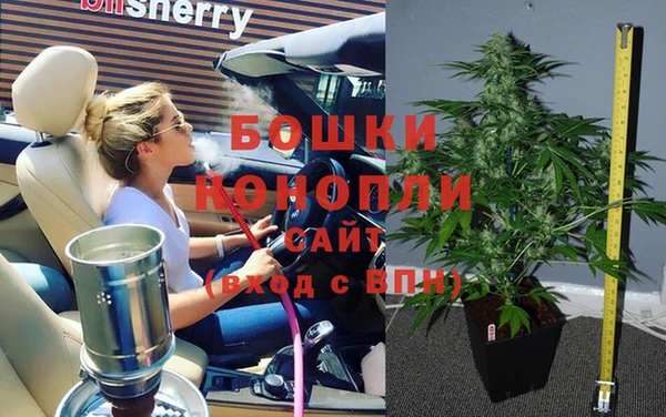 индика Ростов