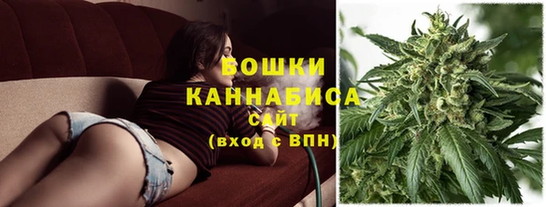 стаф Белоозёрский